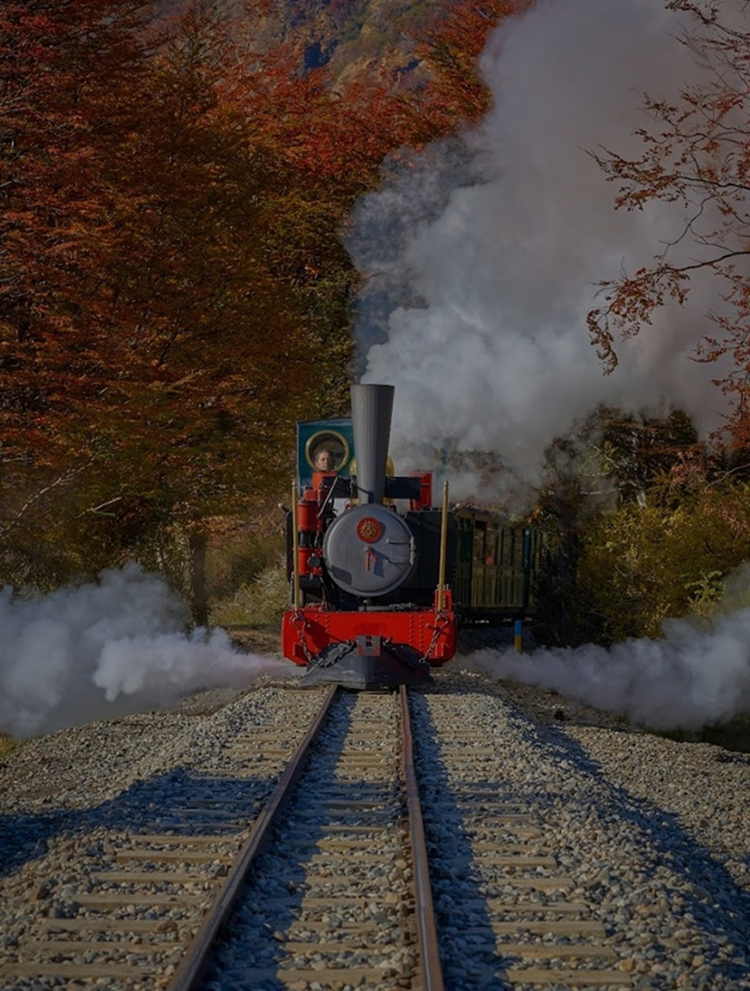 Tren del Fin del Mundo